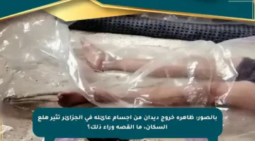 بالصور: ظاهرة خروج ديدان من أجسام عائلة في الجزائر تثير هلع السكان، ما القصة وراء ذلك؟